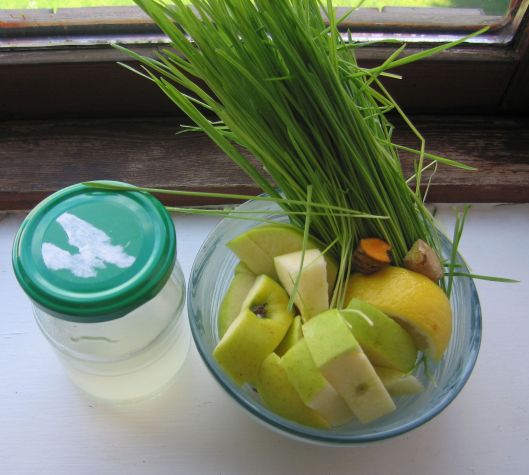 Little jar is the coconut kefir!