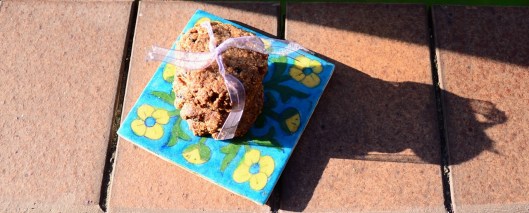 Choc chip yumminess in morning sunlight. Shadow looks like a cat!? 