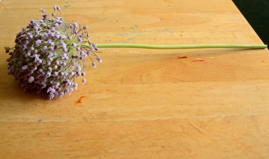 Beautiful garlic flower
