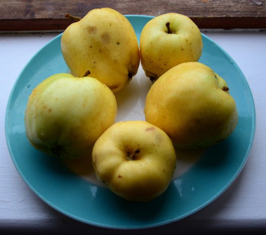 I really should have used six apples this time as two were rather small