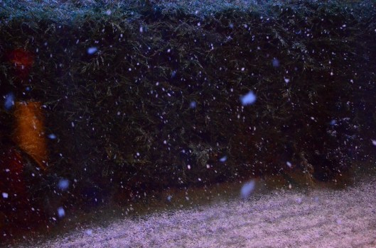 Yesterday's snow