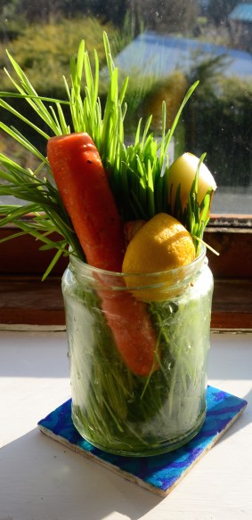 Couldn't fit the apple in this pic!