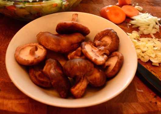 Mushrooms!! Looking mushroom-y