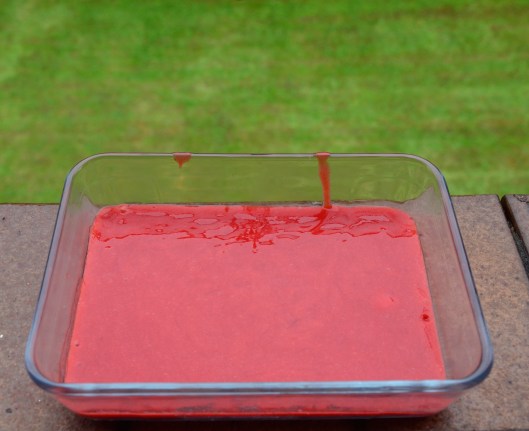 Blended nearly sorbet- what a colour!