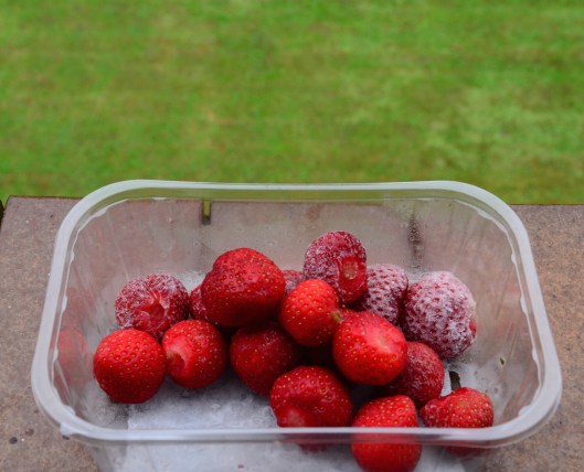 Frozen strawberry rocks